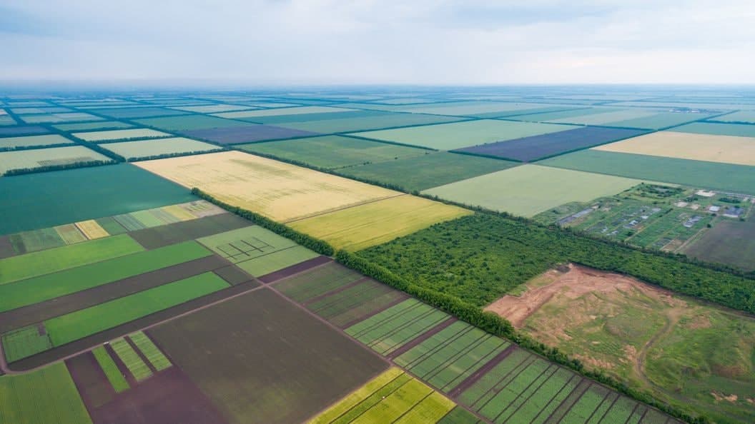 Рынок земли в Украине